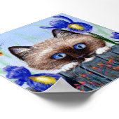 Ragdoll Kitten Cat Siamese Burmese Poster (Ecke)