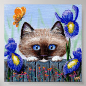 Ragdoll Kitten Cat Siamese Burmese Poster (Vorne)