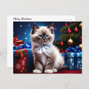 Ragdoll Kitten Christmas Present Feiertagspostkarte