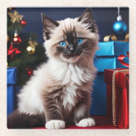 Ragdoll Kitten Christmas Present Glasuntersetzer (Vorderseite)