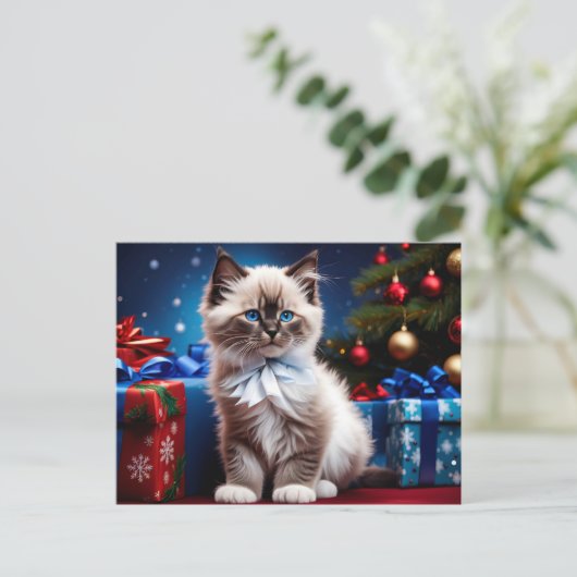 Ragdoll Kitten Christmas Present Postkarte (Stehend Vorderseite)