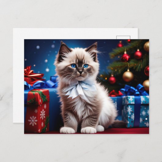 Ragdoll Kitten Christmas Present Postkarte (Vorne/Hinten)