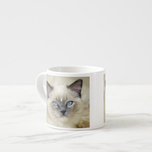 Ragdoll Kitten Espressotasse (Vorderseite Links)
