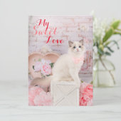 Ragdoll Kitten Ferienwohnung Feiertagskarte (Stehend Vorderseite)