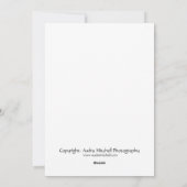 Ragdoll Kitten Ferienwohnung Feiertagskarte (Rückseite)