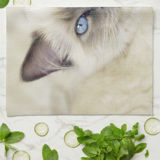 Ragdoll Kitten Handtuch (Gefaltet)