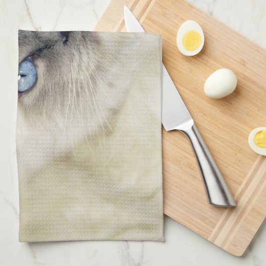 Ragdoll Kitten Handtuch (Viertel Falte)