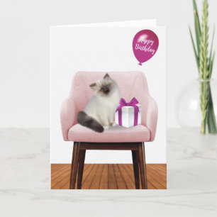 Ragdoll Kitten mit Geburtstagsgeschenk Karte