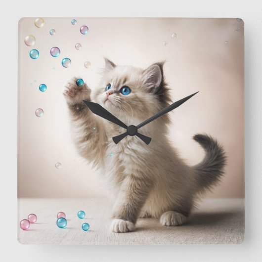 Ragdoll Kitten mit Seifenblasen Quadratische Wanduhr (Vorderseite)