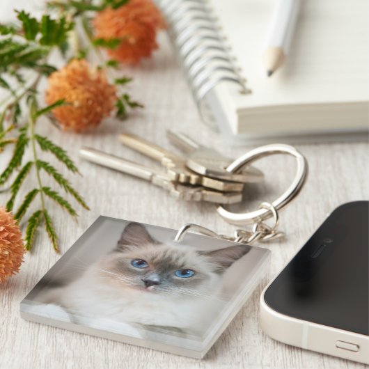 Ragdoll Kitten Portrait Schlüsselanhänger (Vorderseite rechts)