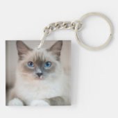 Ragdoll Kitten Portrait Schlüsselanhänger (Rückseite)