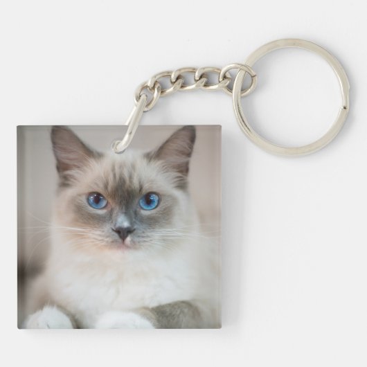 Ragdoll Kitten Portrait Schlüsselanhänger (Rückseite)