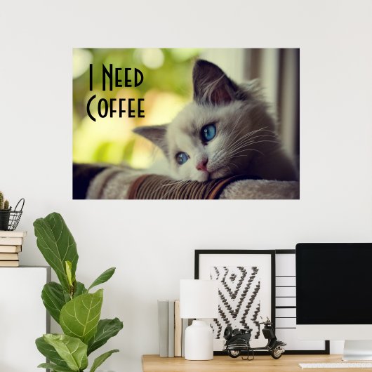 Ragdoll Kitten Poster (Heimbüro)