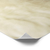 Ragdoll Kitten Poster (Ecke)