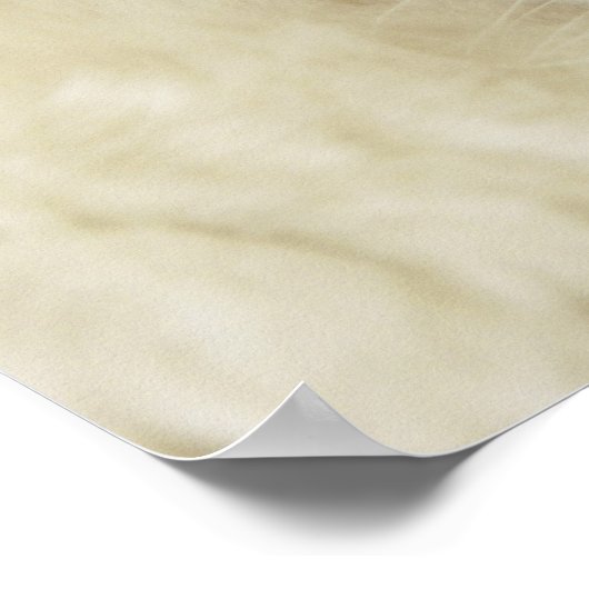 Ragdoll Kitten Poster (Ecke)