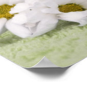 Ragdoll kitten Poster mit grünem Hintergrund (Ecke)