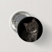 Ragdoll kitten ragdoll cat face Schwarz-weiß kitty Button (Vorne & Hinten)