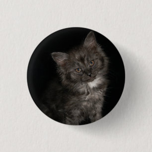 Ragdoll kitten ragdoll cat face Schwarz-weiß kitty Button