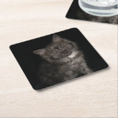 Ragdoll kitten ragdoll cat face Schwarz-weiß kitty Rechteckiger Pappuntersetzer (angewinkelt)