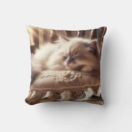 Ragdoll Kitten Schlafen auf einem Kissen