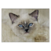 Ragdoll Kitten Schneidebrett (Vorderseite)