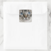 Ragdoll Kitten Sticker (Tasche)