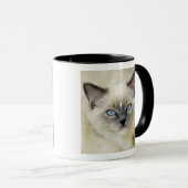 Ragdoll Kitten Tasse (VorderseiteRechts)