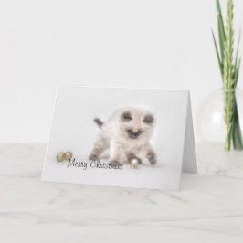 Ragdoll kitten Weihnachtskarte Feiertagskarte