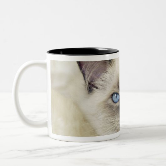 Ragdoll Kitten Zweifarbige Tasse (Links)
