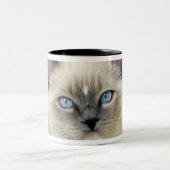 Ragdoll Kitten Zweifarbige Tasse (Mittel)