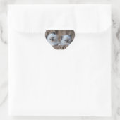 Ragdoll Kittens Herz-Aufkleber (Tasche)