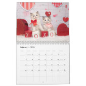 Ragdoll Kittens Kalender (Feb 2026)