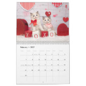 Ragdoll Kittens Kalender (Feb 2027)