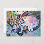 Ragdoll Kittens Postkarte (Vorne/Hinten)