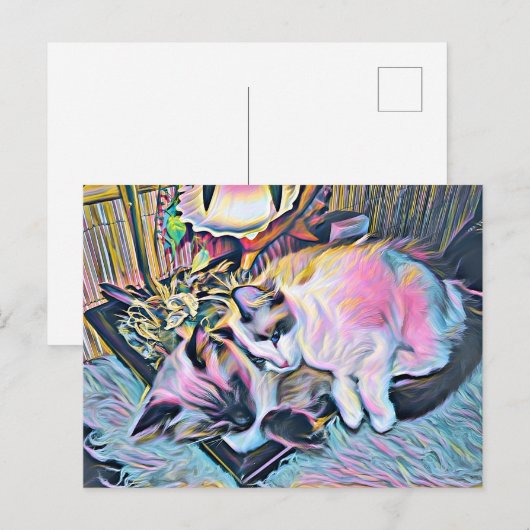 Ragdoll Kittens Postkarte (Vorne/Hinten)