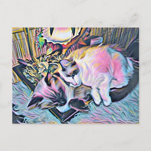 Ragdoll Kittens Postkarte (Vorderseite)