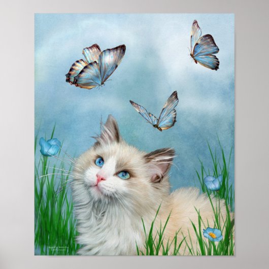 Ragdoll Kitty and Butterfells Art Poster/Print Poster (Vorne)