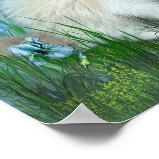 Ragdoll Kitty and Hummingbirds Art Poster/Print Poster (Ecke)