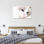 Ragdoll Leinwanddruck (Insitu (Schlafzimmer))