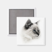 Ragdoll-Magnet Magnet (Vorderseite/Rückseite)