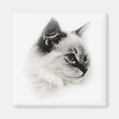 Ragdoll-Magnet Magnet (Vorne)