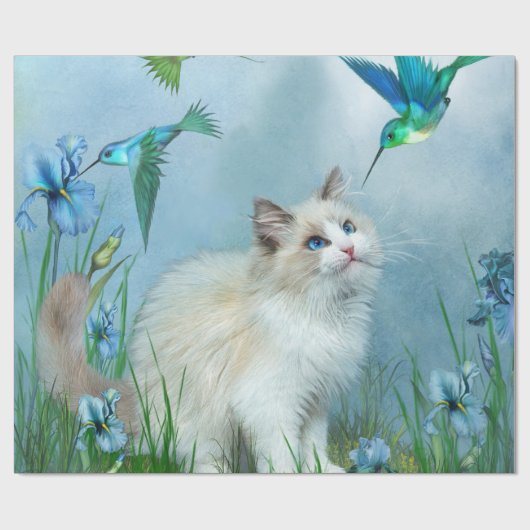 Ragdoll Miezekatze mit Geschenkpapier (Flach)