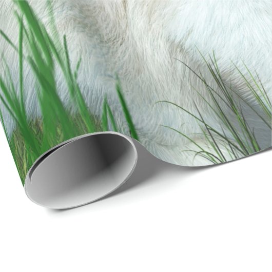 Ragdoll Miezekatze mit Geschenkpapier (Rolleneckpunkt)