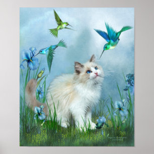 Ragdoll Miezekatze und Kolibri-Kunst-Plakat/Druck Poster