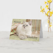 Ragdoll mit giftbags Geburtskarte Karte (Gelbe Blume)