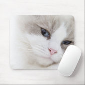 Ragdoll Mousepad (Mit Mouse)