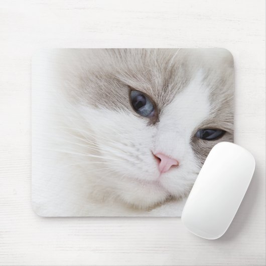 Ragdoll Mousepad (Mit Mouse)