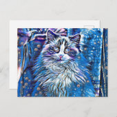 Ragdoll niedliche blaue Augen Postkarte (Vorne/Hinten)