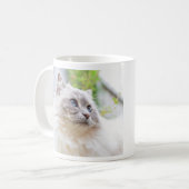 Ragdoll niedliche Katzen-Tasse Kaffeetasse (Vorderseite Links)
