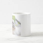 Ragdoll niedliche Katzen-Tasse Kaffeetasse (Mittel)